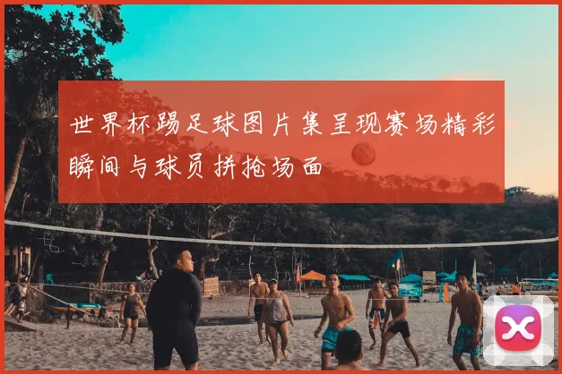 世界杯踢足球图片集呈现赛场精彩瞬间与球员拼抢场面