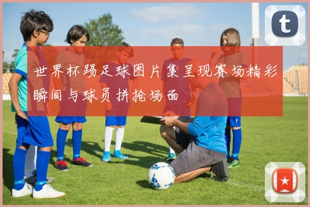 世界杯踢足球图片集呈现赛场精彩瞬间与球员拼抢场面
