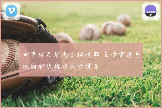 世界杯足彩怎么玩详解 五步掌握手机购彩流程与风险提示
