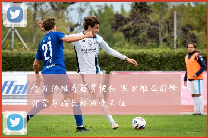 亿万科维奇籍贯揭秘 塞尔维亚前锋背景与成长经历受关注