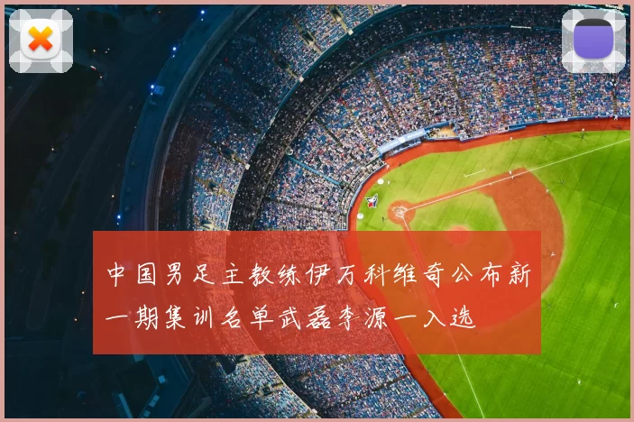 中国男足主教练伊万科维奇公布新一期集训名单武磊李源一入选